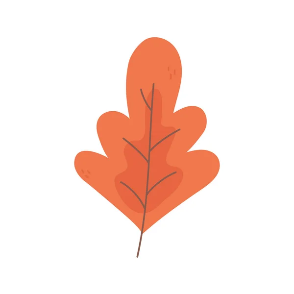 Autumnal leaf foliage nature icon — Stock Vector