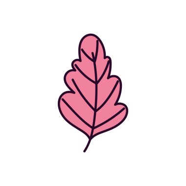 leaf foliage nature on white background