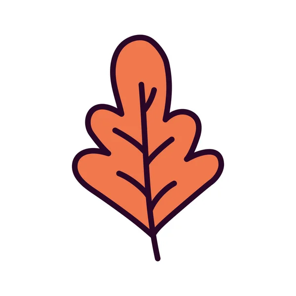 Autumnal leaf foliage nature icon — Wektor stockowy
