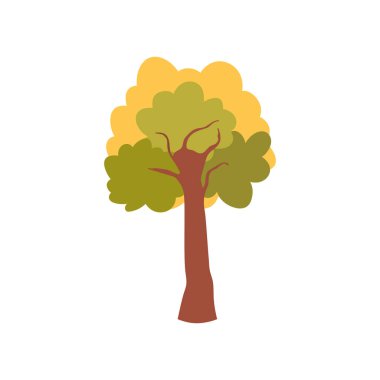 botanical forest tree foliage on white background