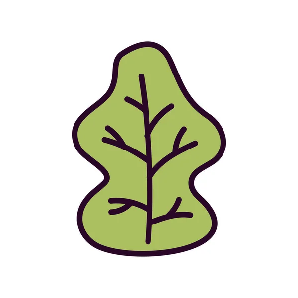 Autumnal green leaf foliage nature icon — 스톡 벡터