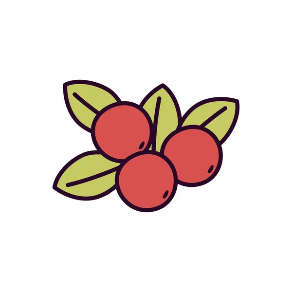 เชอร์รี่ผลไม้สดใบไม้ไอคอนธรรมชาติ — ภาพเวกเตอร์สต็อก