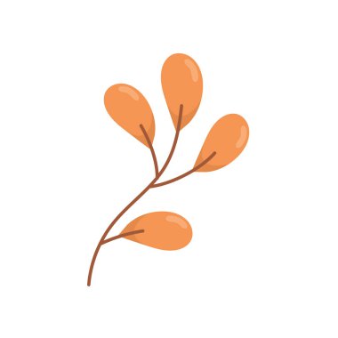 branch leaves foliage natural on white background