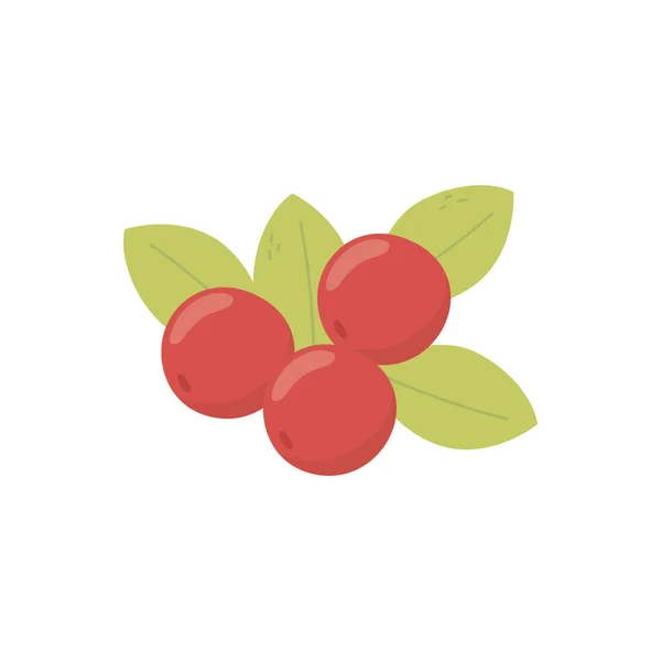 Wiśnia świeże owoce liście ikona przyrody — Wektor stockowy