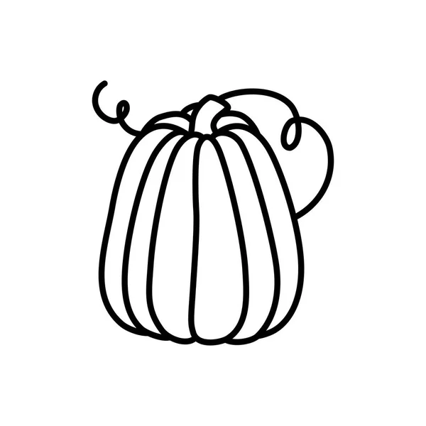 Pumpkin vegetable harvest on white background thick line — Stock vektor