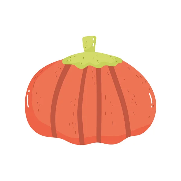 Pumpkin vegetable harvest on white background — стоковый вектор