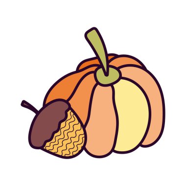 pumpkin and acorn on white background