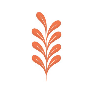 brown leaves branch foliage on white background