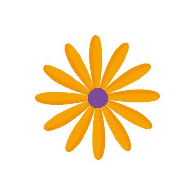 yellow flower decoration on white background