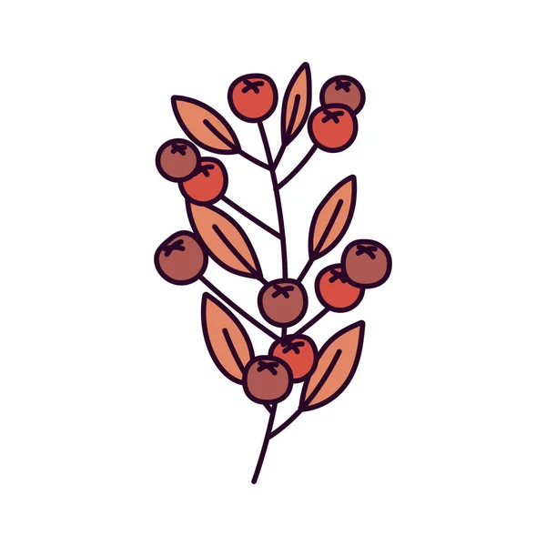 Nature branch leaves berries on white background — Stock vektor