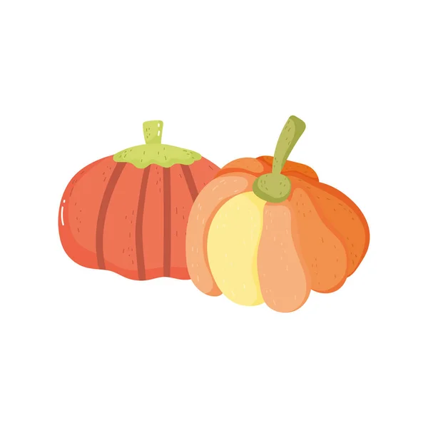 Pumpkin vegetable harvest on white background — Vetor de Stock