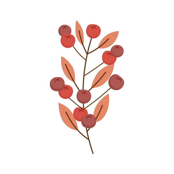 Nature branch leaves berries on white background — Stockvektor