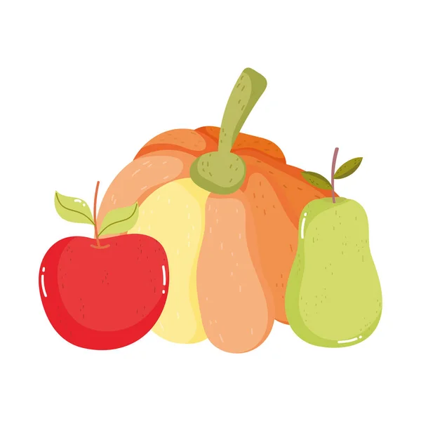 Pumpkin apple and pear on white background —  Vetores de Stock