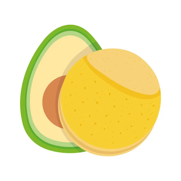 Avocado and tortilla food tradition mexico icon — Stock vektor