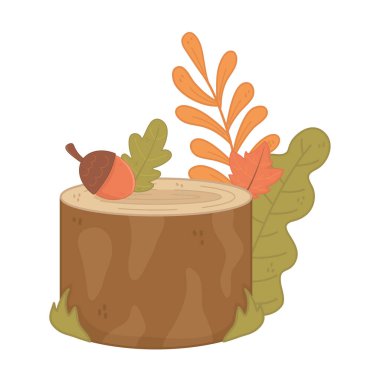 autumn trunk acorn foliage leaves