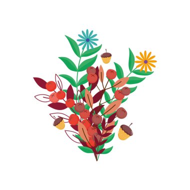 foliage nature branch leaves flower on white background