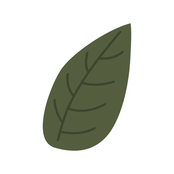 Green foliage botanical leaf icon — Stockvector