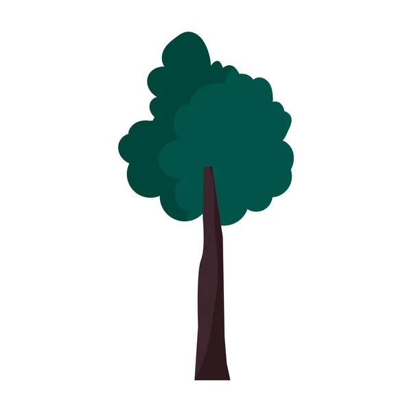Tree botanical nature foliage icon — Image vectorielle
