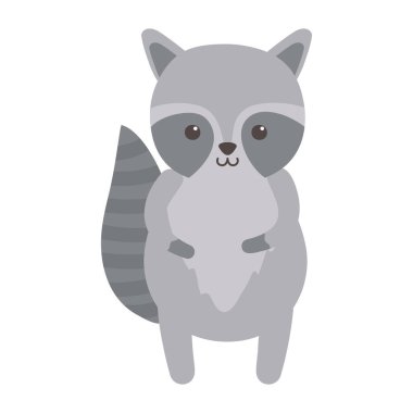 Beyaz arka planda sevimli rakun hayvanı