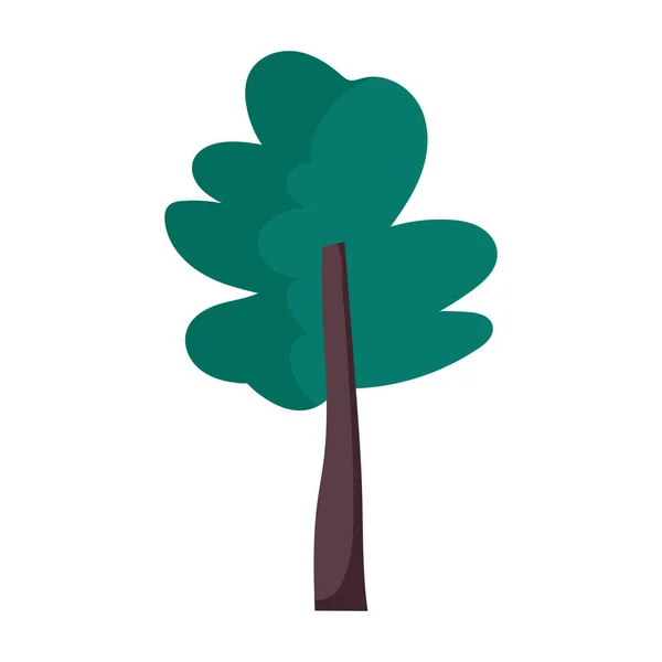 Tree botanical nature foliage icon — Stock vektor