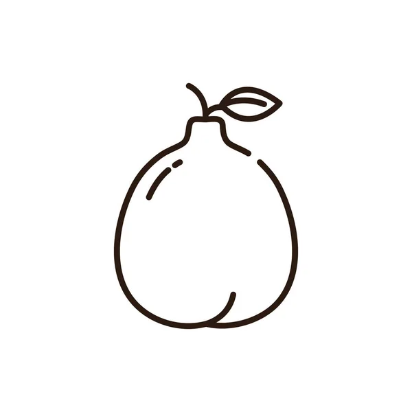 Isolated quince icon line vector design — ストックベクタ