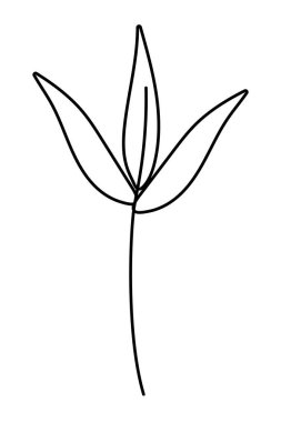 İzole yaprakları tasarım vektör illüstrasyon