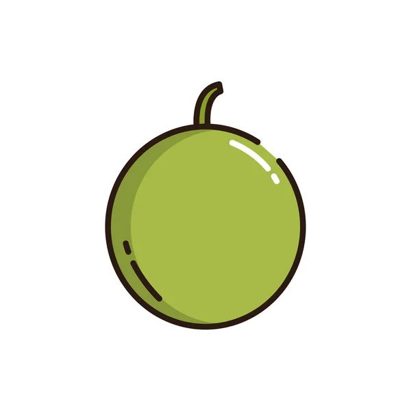 Un icono aislado del melón llena el diseño vectorial — Vector de stock