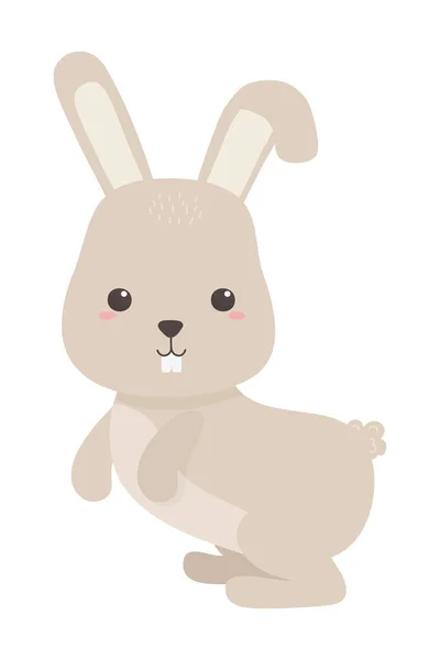Diseño vectorial de dibujos animados de conejo aislado — Archivo Imágenes Vectoriales