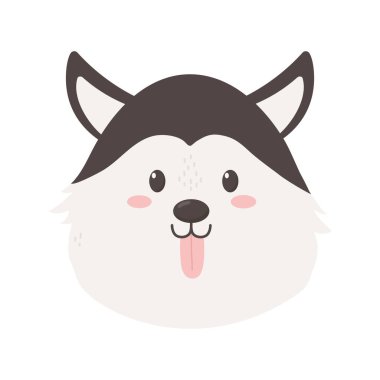 Beyaz arka planda sevimli Sibirya köpeği kafası