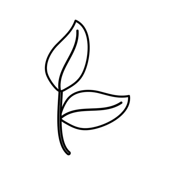 Leafs Plantentuin natuur icon — Stockvector