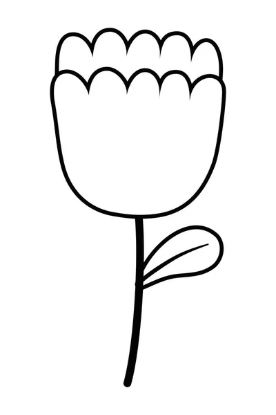 İzole tasarlamak vektör çiçek — Stok Vektör