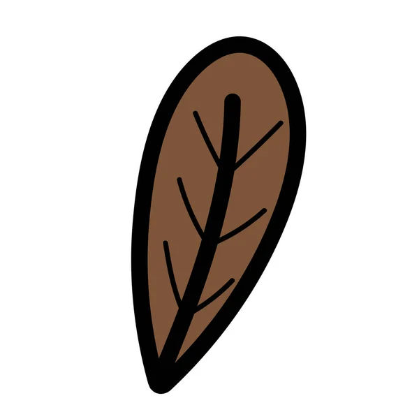 Marrom folhagem botânica folha ícone — Vetor de Stock