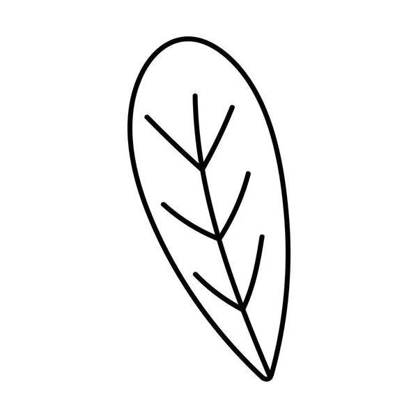 Folhagem botânica folha ícone linha imagem — Vetor de Stock