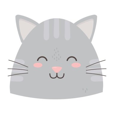 cute gray cat head close eyes