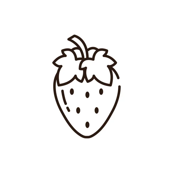 Strawberry line icon — Stock Vector © tifani11 #181786642