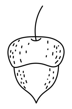 İzole edilmiş palamut vektör tasarımı çizimi