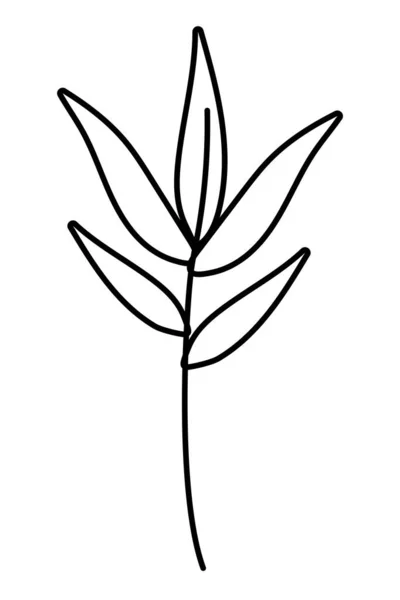 Ilustración vectorial de diseño de hojas aisladas — Vector de stock