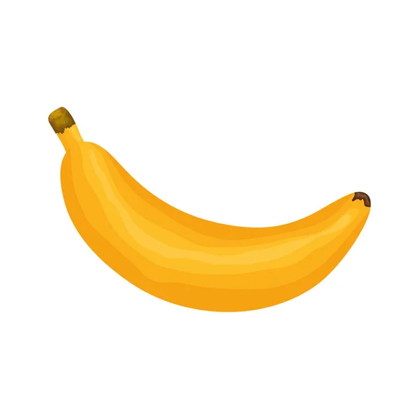 Fresh banana fruit nature icon — Vector de stock