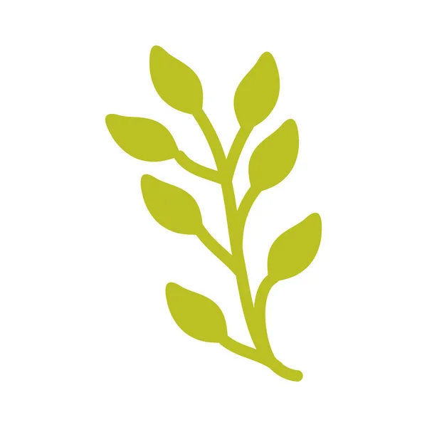 Ramo con foglie piante giardino — Vettoriale Stock