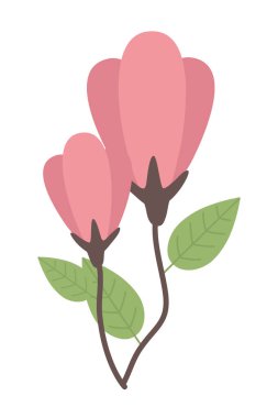 İzole edilmiş kır çiçeği vektör tasarımı