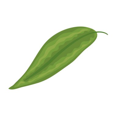 Bahçe bitkiler doğa simge