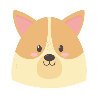 cute dog head on white background