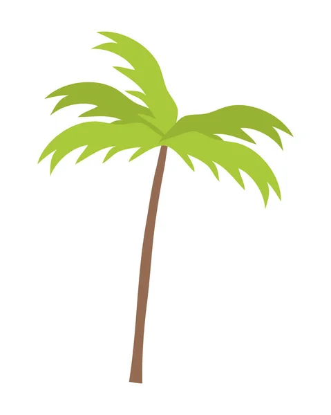 Palm Tree sezonu letniego projektowania — Wektor stockowy