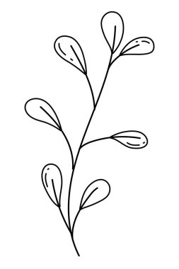 İzole yaprakları tasarım vektör illüstrasyon