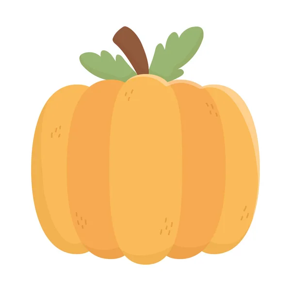 Pumpkin vegetable fresh autumn on white background — Stock vektor