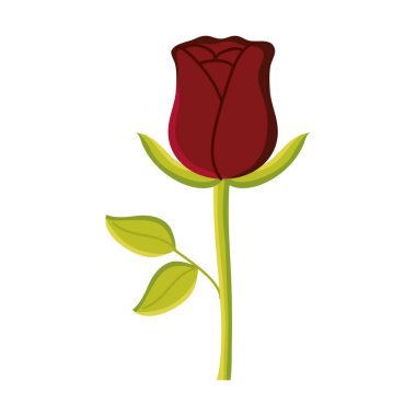 Gül çiçeği bahçesi doğa ikonu