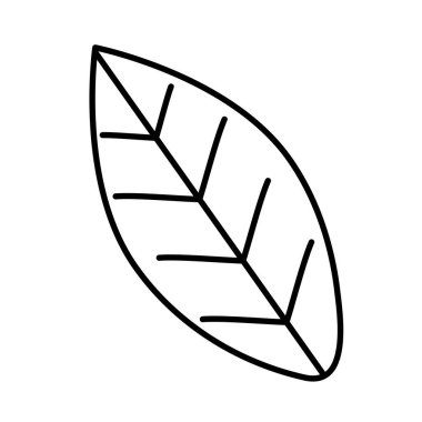 İzole yaprak tasarım vektör illüstrasyon