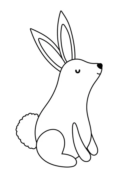 Desenho vetorial de desenhos animados de coelho isolado — Vetor de Stock