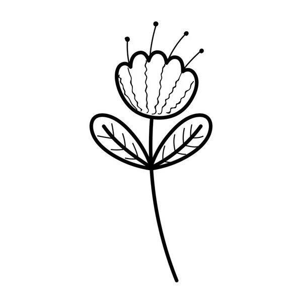 Natur dekorative Blume Blätter Ikone Linie Bild — Stockvektor