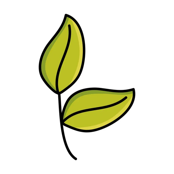 Folhas planta jardim natureza ícone — Vetor de Stock